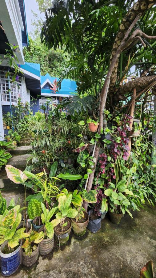 Havilah House Baguio City Exterior foto